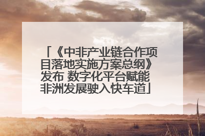 《中非产业链合作项目落地实施方案总纲》发布 数字化平台赋能非洲发展驶入快车道