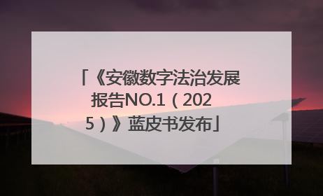 《安徽数字法治发展报告NO.1（2025）》蓝皮书发布