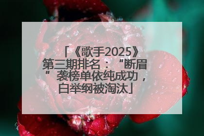 《歌手2025》第三期排名：“断眉”袭榜单依纯成功，白举纲被淘汰
