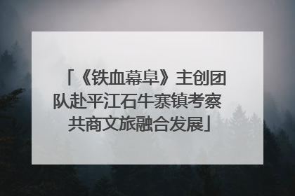 《铁血幕阜》主创团队赴平江石牛寨镇考察 共商文旅融合发展