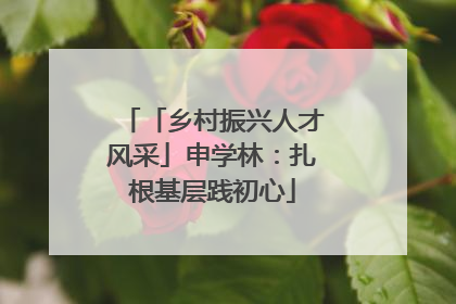 「乡村振兴人才风采」申学林：扎根基层践初心