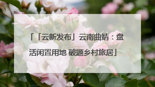 「云新发布」云南曲靖：盘活闲置用地 破题乡村旅居