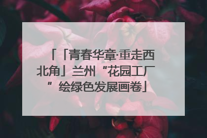 「青春华章·重走西北角」兰州“花园工厂”绘绿色发展画卷