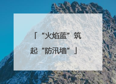 “火焰蓝”筑起“防汛墙”