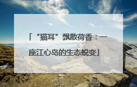 “猫耳”飘散荷香：一座江心岛的生态蜕变