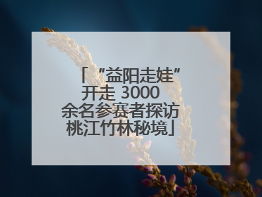 “益阳走娃”开走 3000余名参赛者探访桃江竹林秘境