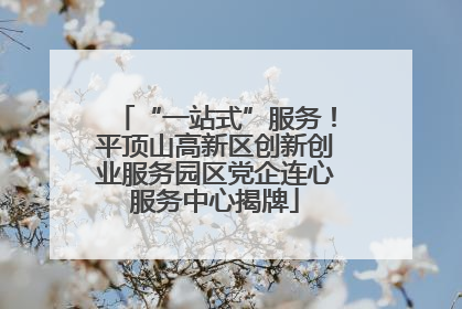 “一站式”服务！平顶山高新区创新创业服务园区党企连心服务中心揭牌