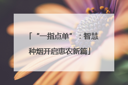 “一指点单”：智慧种烟开启惠农新篇
