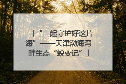 “一起守护好这片海”——天津渤海湾畔生态“蜕变记”