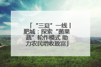 “三夏”一线丨肥城：探索“菌果蔬”轮作模式 助力农民增收致富
