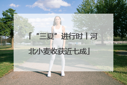 “三夏”进行时丨河北小麦收获近七成