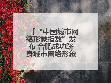 “中国城市网络形象指数”发布 合肥成功跻身城市网络形象榜单第一方阵