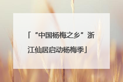 “中国杨梅之乡”浙江仙居启动杨梅季