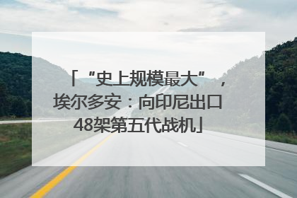 “史上规模最大”，埃尔多安：向印尼出口48架第五代战机