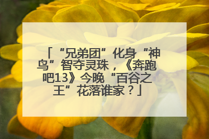 “兄弟团”化身“神鸟”智夺灵珠，《奔跑吧13》今晚“百谷之王”花落谁家？