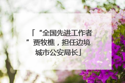 “全国先进工作者”贾牧樵，担任边境城市公安局长