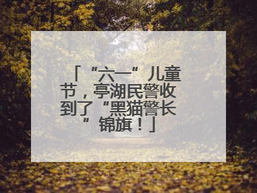 “六一”儿童节，亭湖民警收到了“黑猫警长”锦旗！
