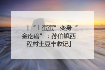 “土蛋蛋”变身“金疙瘩”：孙伯镇西程村土豆丰收记