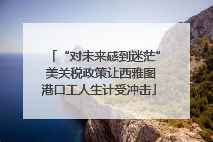 “对未来感到迷茫” 美关税政策让西雅图港口工人生计受冲击