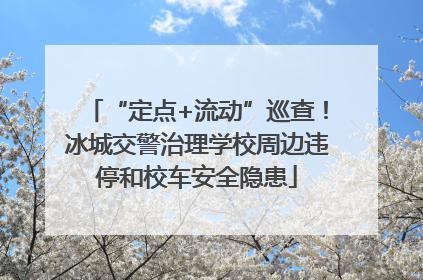 “定点+流动”巡查！冰城交警治理学校周边违停和校车安全隐患