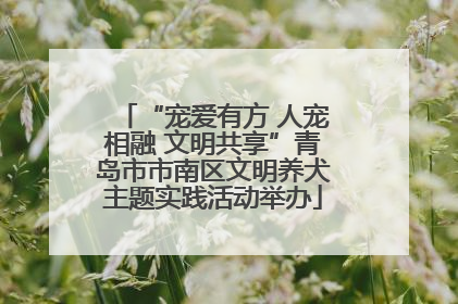 “宠爱有方 人宠相融 文明共享”青岛市市南区文明养犬主题实践活动举办
