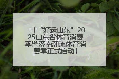 “好运山东”2025山东省体育消费季暨济南潮流体育消费季正式启动