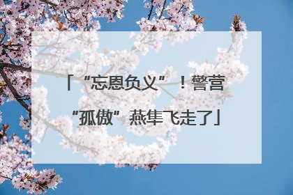 “忘恩负义”！警营“孤傲”燕隼飞走了