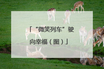 “微笑列车”驶向幸福（图）