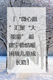 “微心愿”汇聚“大能量” 福建宁德情暖困境儿童成长路