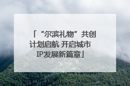 “尔滨礼物”共创计划启航 开启城市IP发展新篇章