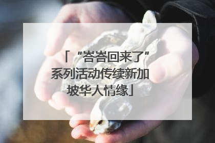“峇峇回来了”系列活动传续新加坡华人情缘