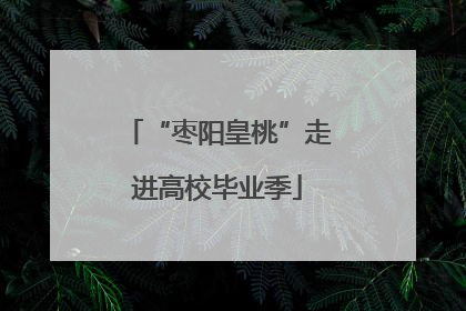 “枣阳皇桃”走进高校毕业季