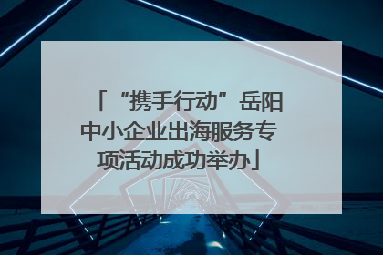 “携手行动”岳阳中小企业出海服务专项活动成功举办