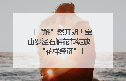 “斛”然开朗！宝山罗泾石斛花节绽放“花样经济”