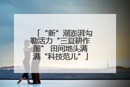 “新”潮澎湃勾勒活力“三夏耕作图” 田间地头满满“科技范儿”