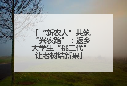 “新农人”共筑“兴农路”：返乡大学生“桃三代”让老树结新果