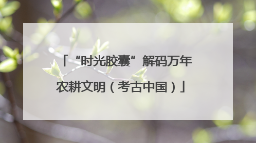 “时光胶囊”解码万年农耕文明（考古中国）