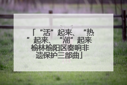 “活”起来、“热”起来、“潮”起来 榆林榆阳区奏响非遗保护三部曲
