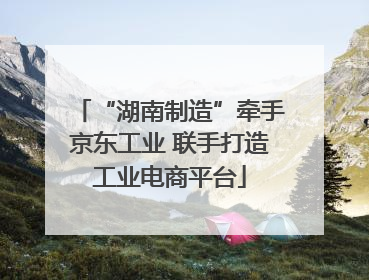 “湖南制造”牵手京东工业 联手打造工业电商平台