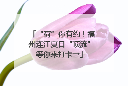 “荷”你有约！福州连江夏日“顶流”等你来打卡→