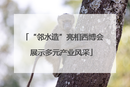 “邻水造”亮相西博会 展示多元产业风采
