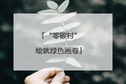“零碳村” 绘就绿色画卷