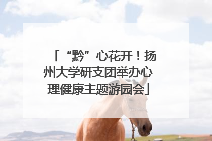 “黔”心花开！扬州大学研支团举办心理健康主题游园会