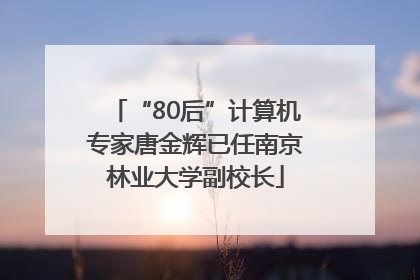 “80后”计算机专家唐金辉已任南京林业大学副校长