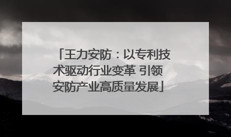 王力安防：以专利技术驱动行业变革 引领安防产业高质量发展