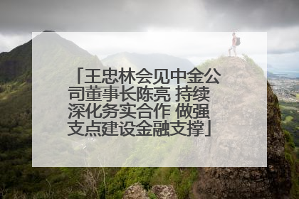王忠林会见中金公司董事长陈亮 持续深化务实合作 做强支点建设金融支撑