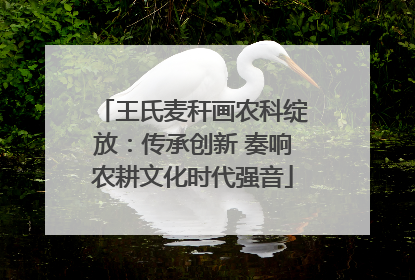 王氏麦秆画农科绽放：传承创新 奏响农耕文化时代强音