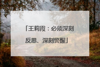 王莉霞：必须深刻反思、深刻警醒