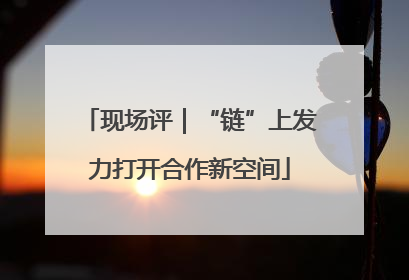 现场评｜“链”上发力打开合作新空间
