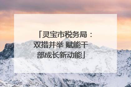 灵宝市税务局：双措并举 赋能干部成长新动能